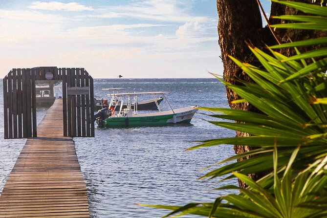 Roatan Full Diving Day Adventure -3 Dives for Certified Divers - Dive Site Highlights