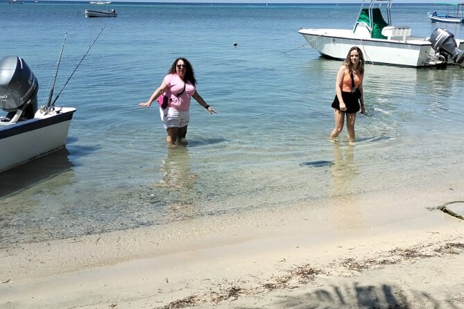 Roatan Monkey Sloth Plus Chocolate and Rum Tasting - Accessibility and Participation