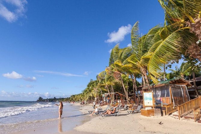 Roatan: Zipline & Dip - Exploring the Island of Roatan
