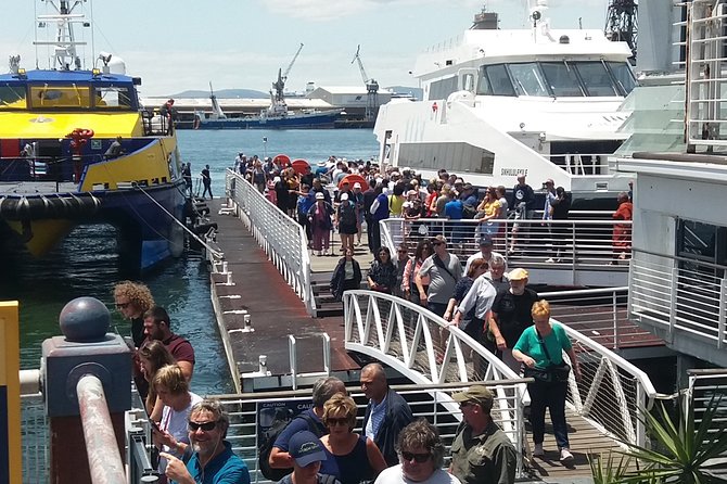 Robben Island Museum Plus Table Mountain National Park & Bo-kaap All Tickets F/d - Accessibility and Participation