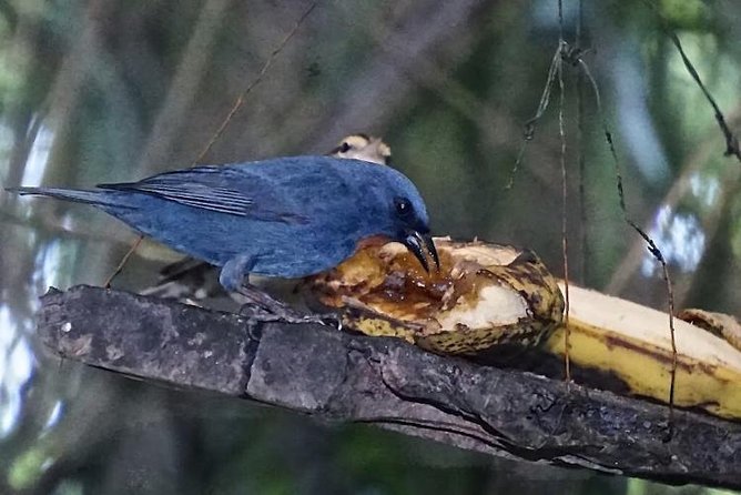 Rockland Bird Sanctuary and Hip-Strip Shopping - Booking and Cancellation Policies