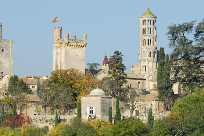Roman Heritages and Chateauneuf Du Pape Wine Tour From Avignon - Drinking Age and Group Size