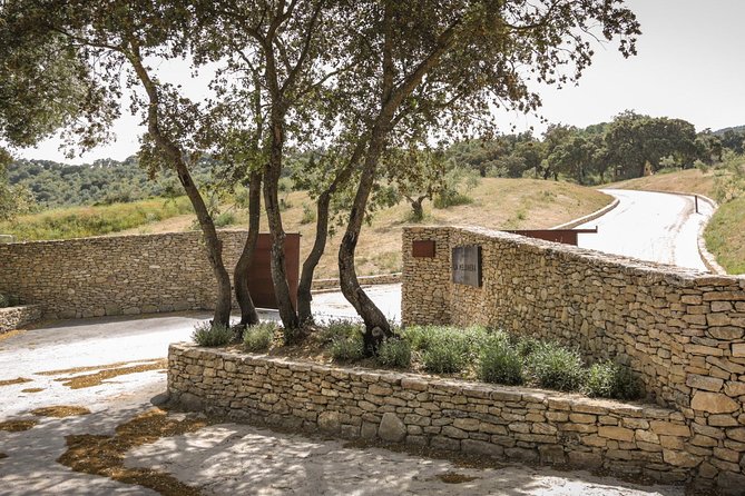Ronda Private Full Day Wine Tour - Pricing and Availability