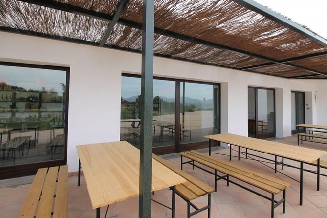 Ronda Private Wine Tour Free Time in Ronda - Cancellation Policy Highlights