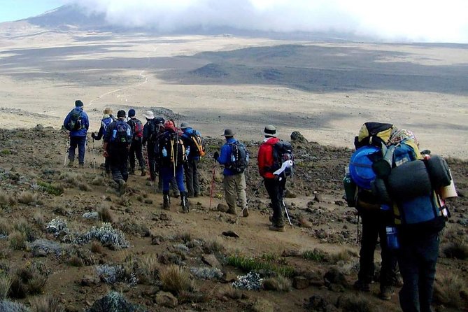 Rongai Route 6 Days 5 Nights/Kilimanjaro Climb - Pickup and Meeting Information