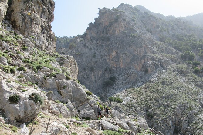 Rouvas Gorge Tour Review: A Scenic Adventure - Navigating the Untouched Landscapes