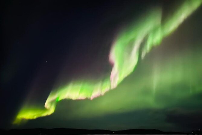 Rovaniemi Northern Lights Small-Group BBQ With Hotel Transfers - Transportation and Accessibility