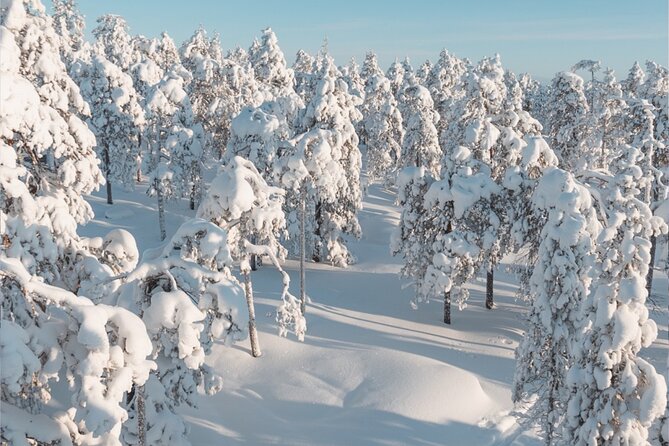 Rovaniemi: Winter Wonderland Vikaköngäs Hiking Tour & BBQ - Enjoy the BBQ