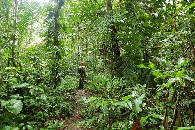 Rurrenabaque Pampas. 3 Days & 2 Nights. PRIVATE TOUR. (PLS ASK FOR SHARED TOUR) - Highlights of the Tour