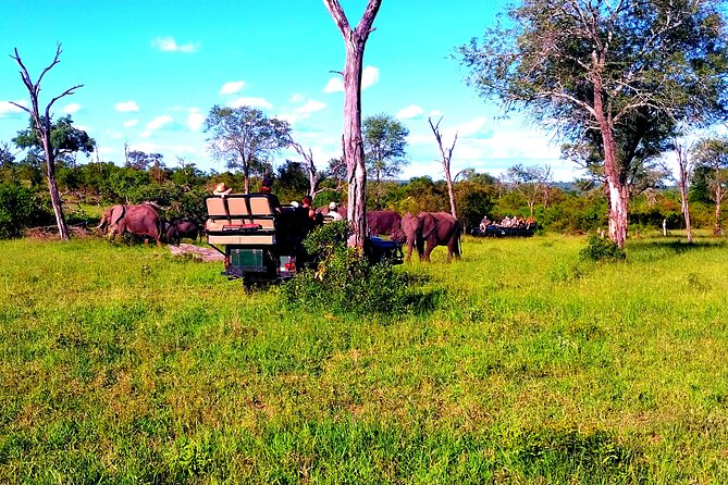 Sabi Sand Sunset Safari - Itinerary and Experience