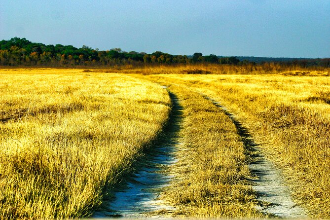 Safari Game Drive in the Savannah With Hotel Pickup 3 Times Daily - Participant Restrictions and Accessibility
