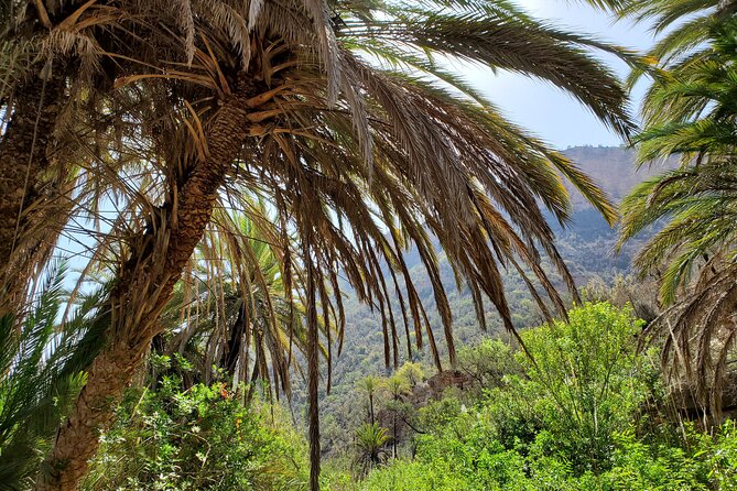 Sahara Desert and Paradise Valley Including Tajine for Lunch - Savoring the Moroccan Tagine