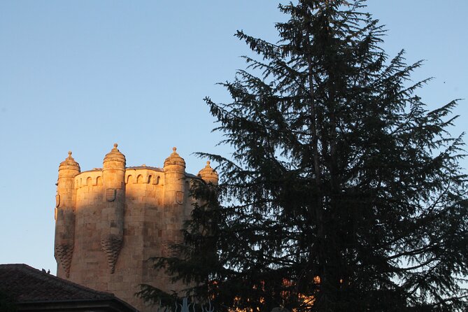 Salamanca Evening Walking Tour Bilingual - Salina Palace and Architecture