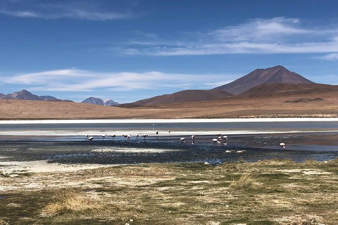 Salar De Uyuni. 2 Days 1 Night. Spanish Guide. Volcan Tunupa Route. Private Tour! - Pricing and Cancellation