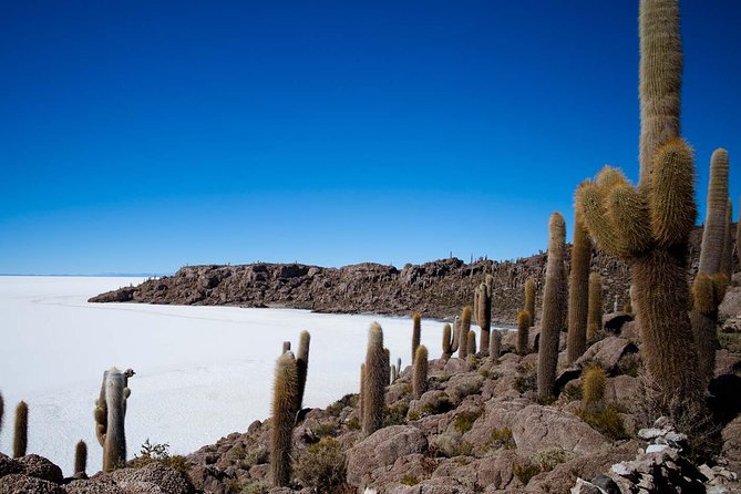 Salar De Uyuni (Classic 3 Days Trip) Spanish Guide - Booking Information