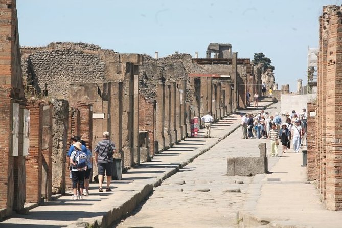 Salerno Shore Excursion: Private Pompeii Tour - Reviews and Ratings
