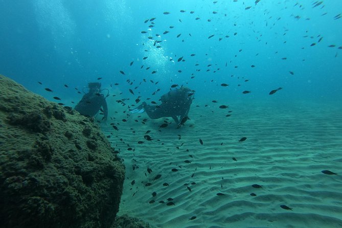 Salou Private Beginner Scuba Diving Course  - Tarragona - Medical and Accessibility Considerations