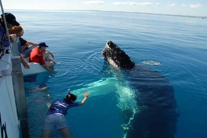 Samana & Whales From Punta Cana - Reviews and Ratings
