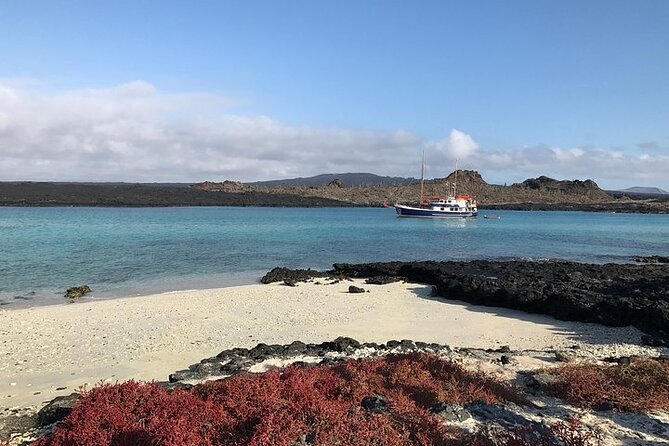 Samba Cruise At Galapagos Islands - Assistance and Equipment