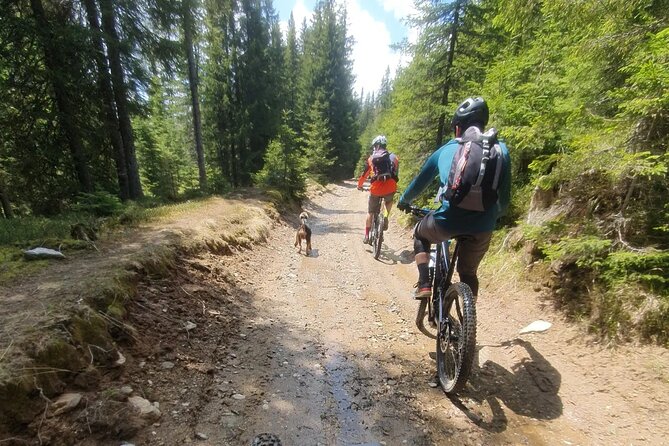 Sambata De Sus: E-Bike Guided Tours - Bicycle and Safety Gear