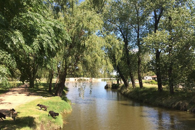 San Antonio De Areco and Lujan Day Trip From Buenos Aires - Customizable Itinerary and Pace