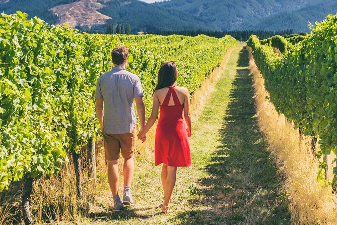 San Francisco: Full Day Coastal Redwoods & Wine Country Tour - Accessibility and Recommendations