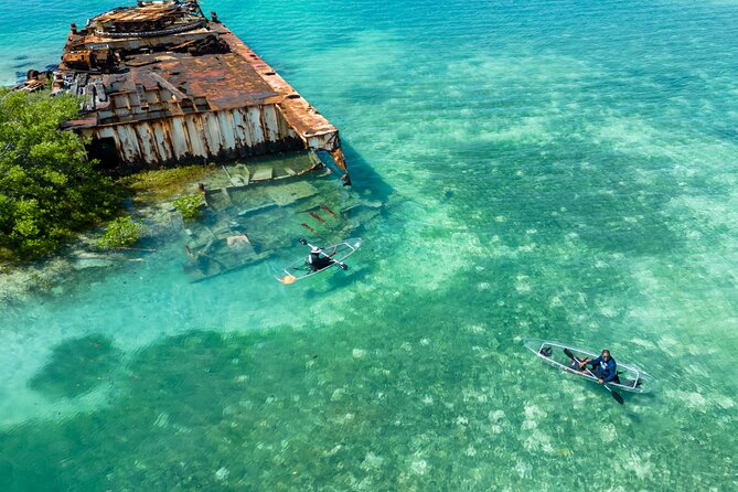 Sand Bar and Mangrove Forest Kayak Tour Grand Turk Island - Health and Accessibility Information