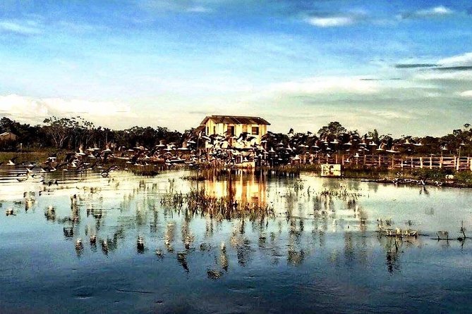 Santarém Maica Lake Tour - Guide and Traveler Information