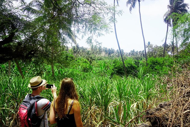 Santiago Island: Banana Plantation, Natural Park & Workshop With a Local Family - Participating in the Cooking Workshop