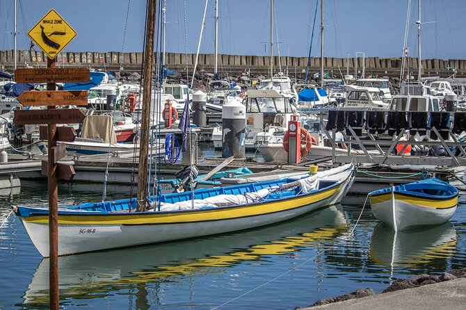 Sao Miguel: Azorean Whalers Heritage Tour - Experience Details