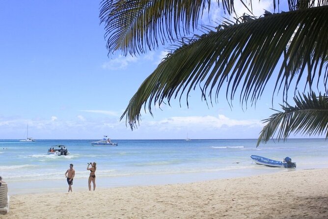 Saona Island and Snorkeling From Punta Cana - Inclusion Specifics