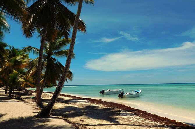 Saona Island Day Trip From Cap Cana With Lunch and Lobster and Open Bar Included - Tour Schedule