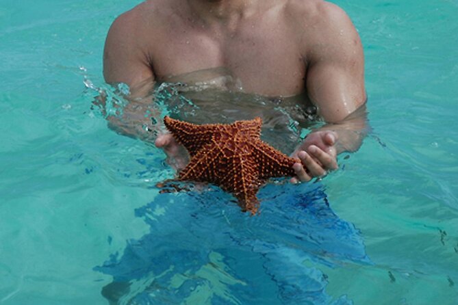 Saona Island Day Trip + Lobsters Included in Uvero Alto - Booking Flexibility