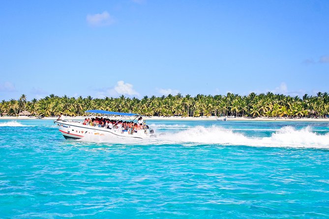 Saona Island Full Day From Punta Cana - Accessibility and Recommendations