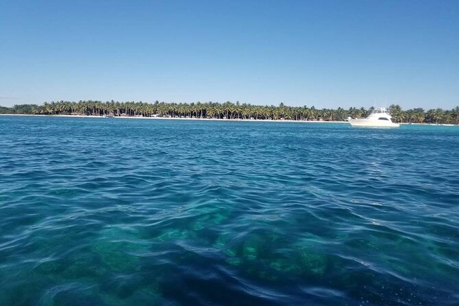 Saona Island Full-Day Tour From Boca Chica - Tour Highlights