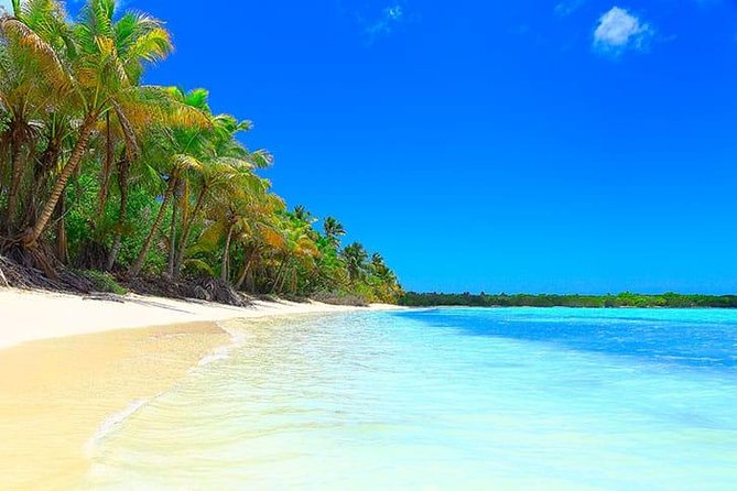 Saona Island Paradise Full Day - All Inclusive. From Punta Cana & Bayahibe - Booking Details