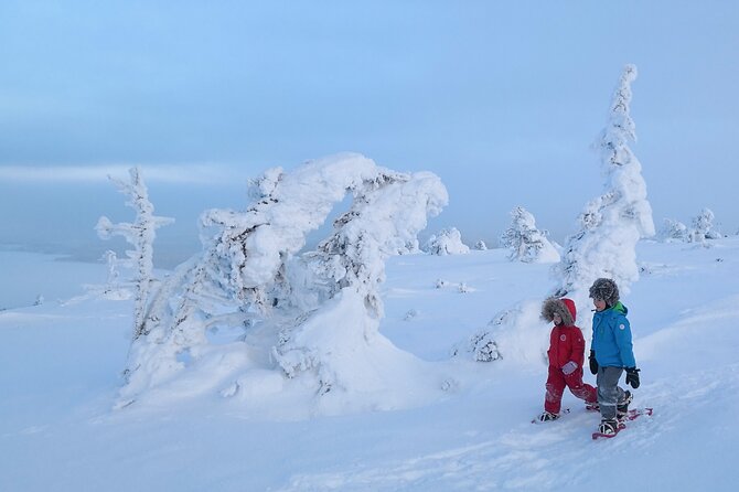 Scenic Snowshoeing on the Top of Pyhä Fell - Enjoying the Scenic Views