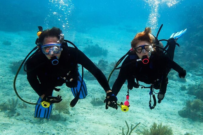Scuba Diving Activity in Dubai With Hotel Pickup - Review and Rating Summary