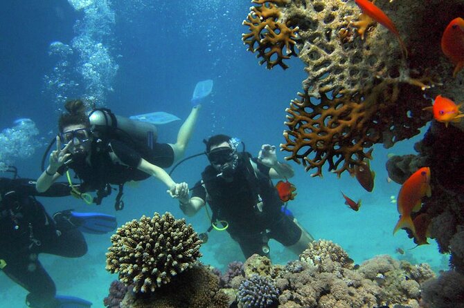 Scuba Diving Experience in Alanya With Lunch and 2 Dives - Pickup and Meeting Information