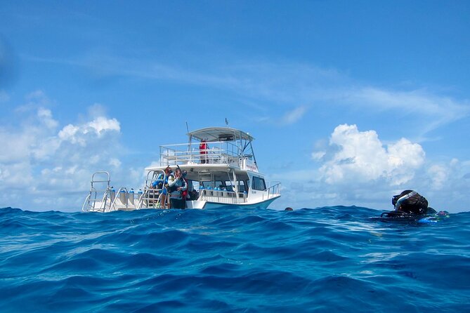 Scuba Diving for Beginners - Making the Most of Your Dive