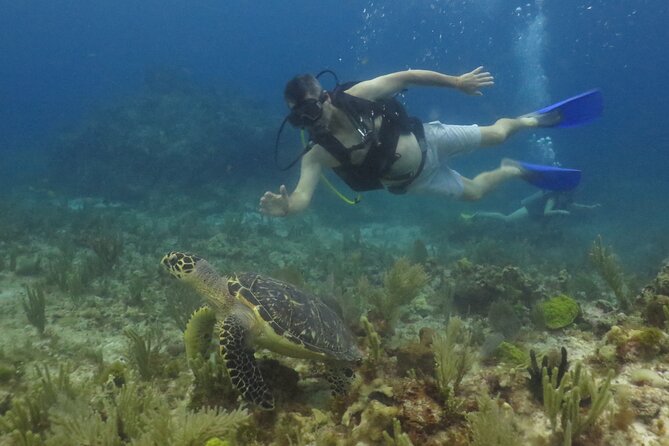 Scuba Diving in Cancun FREE Photos/Videos Beginners Welcomed! - Participation Requirements