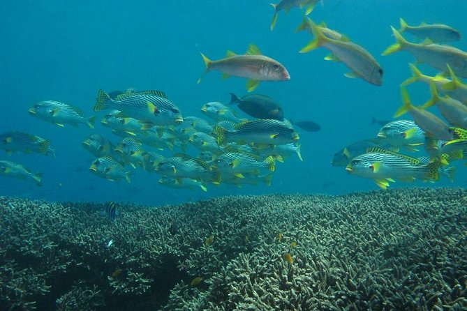 Scuba Diving in PADANG BAY BALI - Health and Safety Considerations