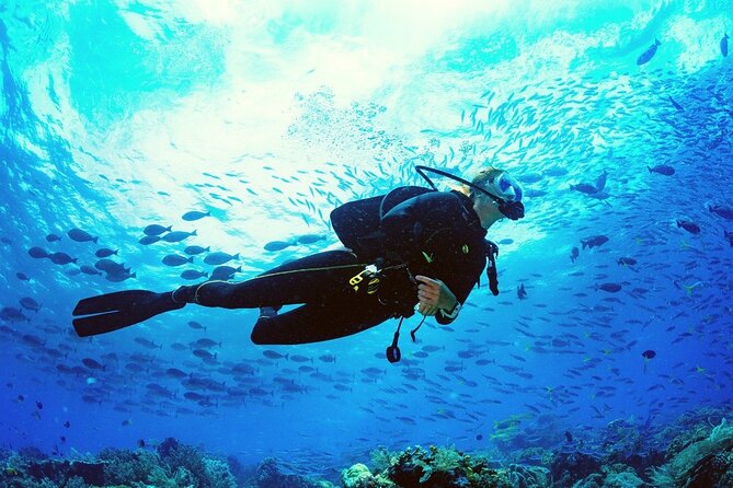 Scuba Diving Trip: Diving, Transfers, and Lunch - Hurghada - Customer Feedback and Highlights