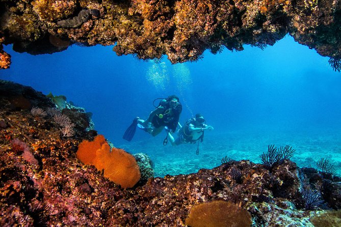 Scuba Diving With a 5-Star PADI Center in Puerto Vallarta - Included and Additional Fees