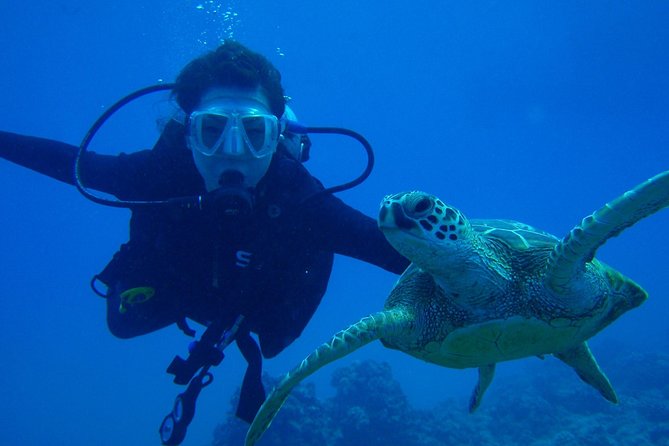 Scuba PADI Open Water Course & Beach Club With Transportation in Riviera Maya - Health and Safety Regulations
