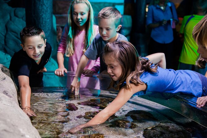 SEA LIFE Aquarium Arizona Admission Ticket - Interactive Experiences for Visitors