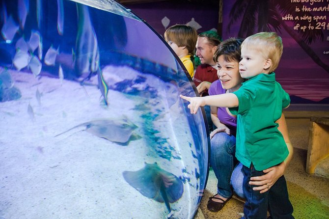 SEA LIFE Kansas City Aquarium Admission Ticket - Visitor Accessibility Features