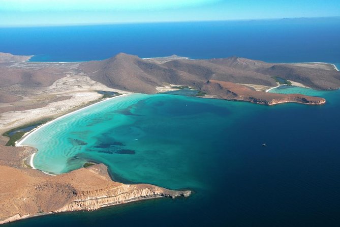 Sea of Cortez Snorkeling & Sea Lion Catamaran Adventure in La Paz - Inclusions and Costs