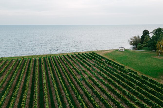 Seated Tasting Experience at Konzelmann Winery - Booking Process and Policies