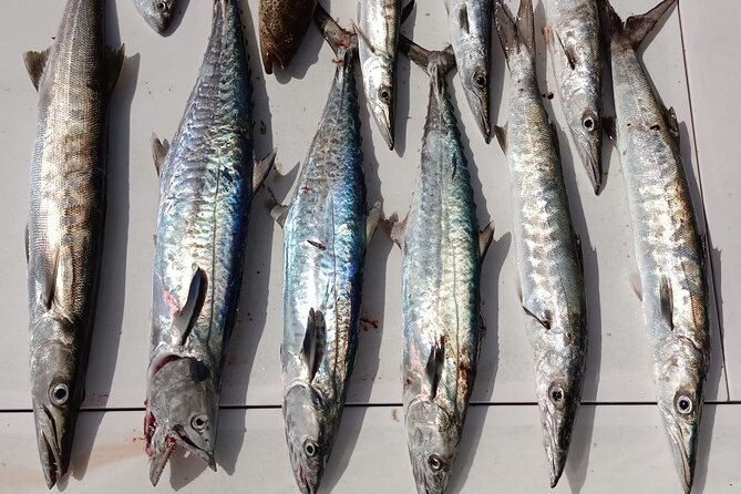 Seawake Private Fishing Trip in Dubai - Included Equipment and Amenities